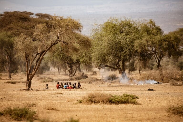 Photo migratory crisis strategies